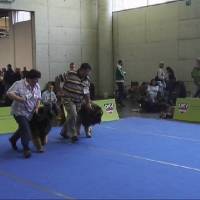 Salzburg Clubschau Mai 06 107 